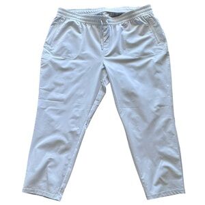 The North Face Women’s Never Stop Wearing Pants Dusty Periwinkle Size 3X NWT